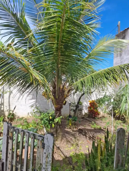 Casa em Balneário Itaoca — Mongaguá 95m² 6